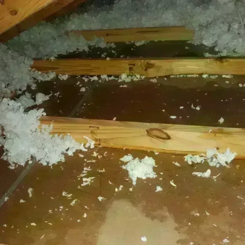 Attic Water Damage in Stony Point, NC